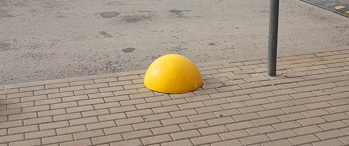 politika